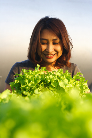 Woman holding a genuine fresh organic parsley just harvested from an organic gardenの写真素材