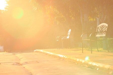 bench in park  in morning timeの写真素材