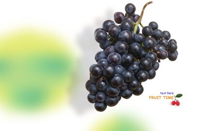 Creative layout made of fruits. Flat lay ,nature backdrop isolated on white background, clipping path included.の写真素材