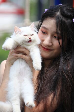 Beautiful young woman with cute white Persian cat resting at homeの写真素材