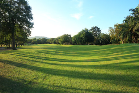 Beautiful golf course at the sunset, sunrise time.の写真素材