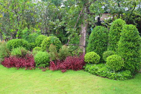 green park or green nature publicの写真素材