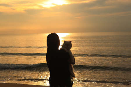 woman with cat on beach , Young asian woman with her cat at sunset , silhouette at sunsetの写真素材