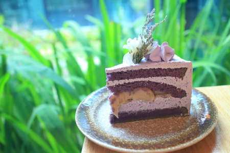 Delicious chocolate cake on plate on table on green  backgroundの写真素材