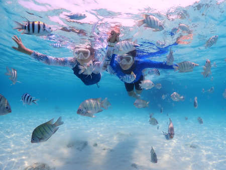 Tourist people diving with snorkel to see nemo fish , beautiful fish and coral at Samaesarn Island of Thailandの写真素材