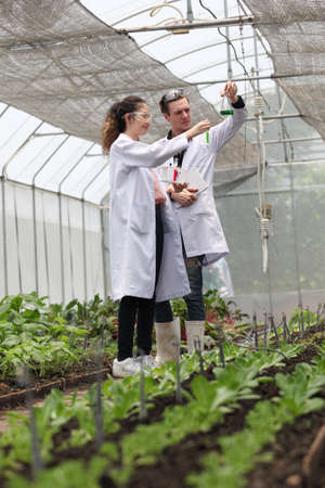 Agricultural Engineers Test Plants Health and Analyze Data with Tablet Computer. Biotechnology  engineer examining plant leaf for diseaseの写真素材