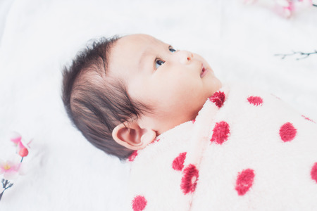Cute little baby lies on a white cloth and wrapped in quilt, Looking around. on white background.の写真素材
