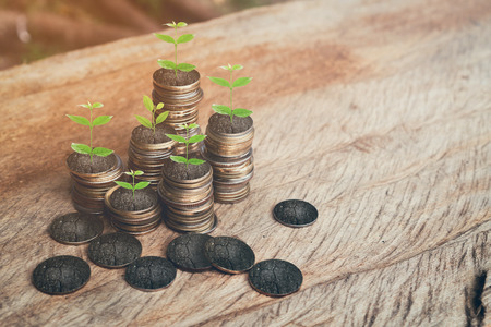 money, plant on pile coins growing concept and the financial goals success.