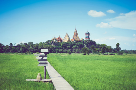 The image of a farm with a wooden walkway and a back is a temple. in the summerの写真素材