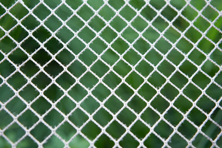 Close up of white net pattern background.の写真素材