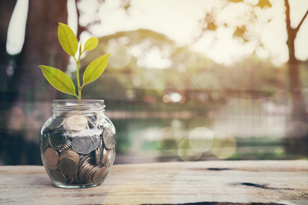Plant on pile coins in the bottle and graph financial, Money growing concept and the goal success.の写真素材