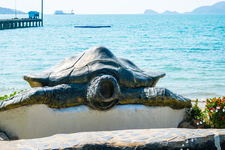 Chonburi,Thailand-January 1,2018: View of turtle at Sea Turtle Conservation Center Royal Thai Navy, The center primary goals are to provide education on conservation and the value of natural resourcesの写真素材