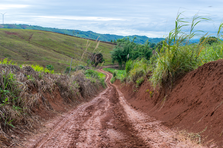 The mountain dirt road through the green paddy fields in rural area of Thailandの写真素材