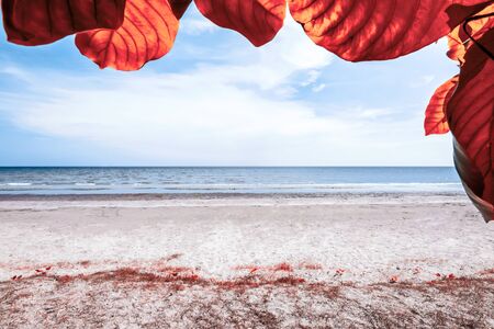 Mae Ram Phueng Beach, the beautiful and quiet for relaxation on the good holiday, is the attractions in Rayong, Thailand. の写真素材