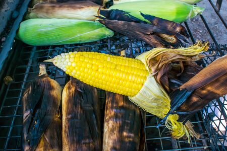 Grilled hot corn on the cob slathered with butter and salt in the summer timeの写真素材