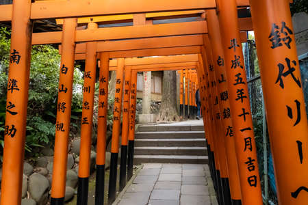 Tokyo, Japan - March 17, 2019: View of red Tunnel of Torii gate to Gojo Tenjinsha Shrine in Ueno park of Tokyo, Japan.のeditorial素材