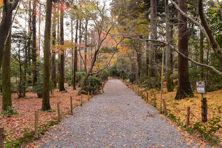 View of Ryoanji Temple, a Zen temple located in northwest Kyoto in Autumn, Japanのeditorial素材