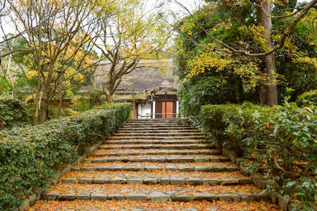 View of Ryoanji Temple, a Zen temple located in northwest Kyoto in Autumn, Japanのeditorial素材