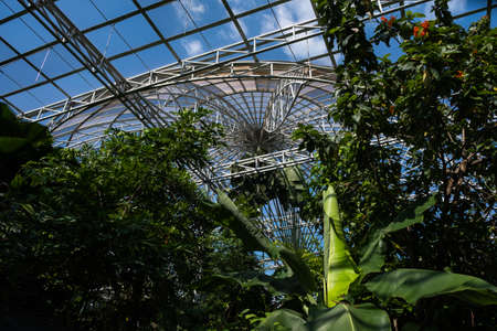 Bangkok, Thailand - November 16, 2019: View of Bangkok Butterfly Garden and Insectarium, the situated in to the southeast of the Vachirabenjatas Park or Rot Fai Park in Bangkok, Thailand.のeditorial素材