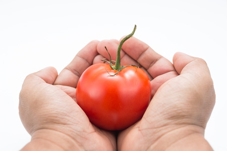 Tomato In Handの写真素材