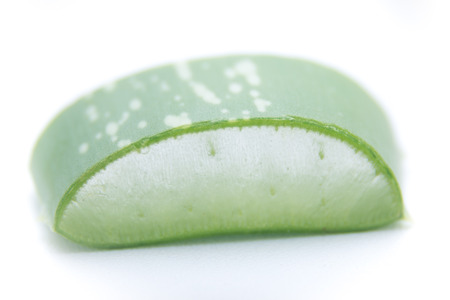aloe vera slices on white backgroundの写真素材