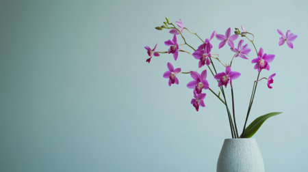 A delicate Dendrobium orchid in a minimalist vase, with its slender stems and vibrant purple flowersの素材