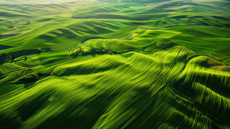 An aerial shot of vast green farm fields with a slight hazeの素材