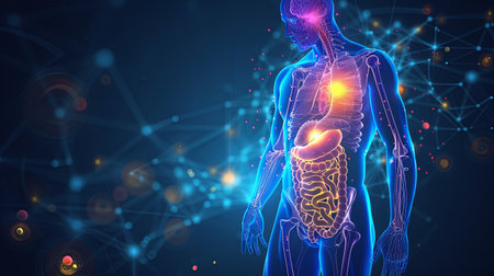 Blue transparent human body with glowing internal organs on a dark blue background with plexus.の素材