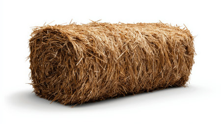 Hay bale isolated on white, showcasing textured straw, ideal for rural and farming visualsの素材