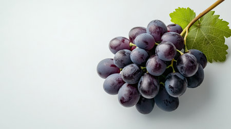 Grapevine isolated on white, ideal for vineyard and fresh produce themesの素材