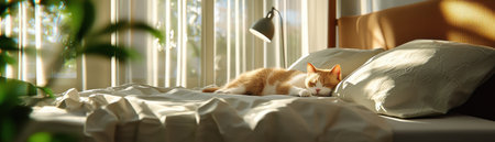 A fluffy orange and white cat is curled up on a bed with a white comforter. The cat is resting peacefully, enjoying the warmth and comfort of the bed. The room is bright and sunnyの素材