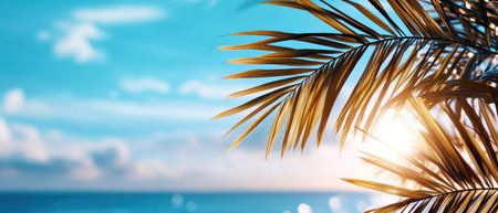 A palm tree is standing tall in front of a beautiful blue ocean. The tree's leaves are spread out, and the sunlight is shining on them, creating a warm and inviting atmosphere. The ocean is calmの素材