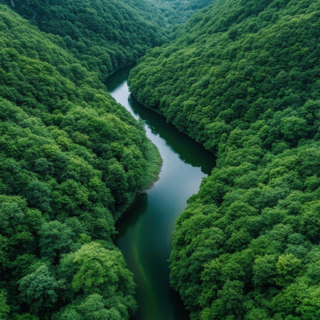 A lush green forest with a river running through it. The river is surrounded by trees and the entire scene is filled with life and colorの素材