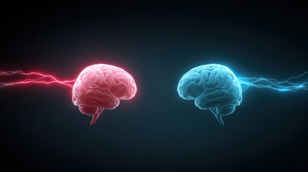 Two brains are shown in a blue and red light. The blue brain is on the left and the red brain is on the rightの素材
