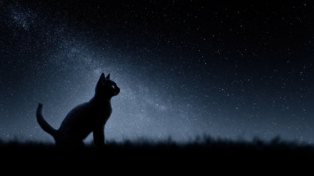 A black cat is sitting on a grassy field under a starry sky. The cat is looking up at the sky, possibly watching the stars or just enjoying the peacefulness of the nightの素材