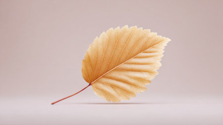 A leaf with a lot of spots on it. The leaf is brown and has a lot of textureの素材