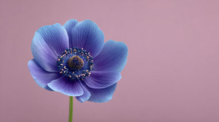 A blue flower with a purple center sits on a pink background. The flower is the main focus of the image, and its vibrant colors create a sense of freshness and beautyの素材