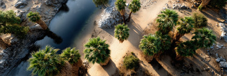 A lush green forest with palm trees and a river. The trees are tall and the river is calmの素材
