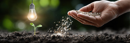 A hand is pouring water on a plant. The plant is a seedling and the water is coming from a light bulb. Concept of growth and nurturing, as the seedling is being watered to help it growの素材