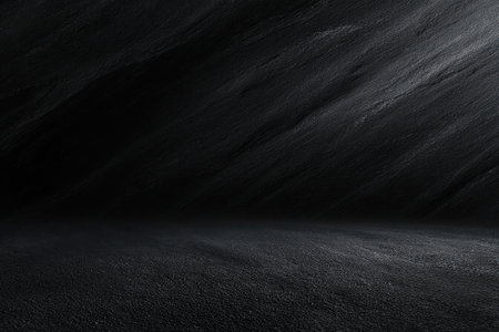 The image is a black and white photo of a black and white photo of a black and white photo of a black and white photo of a black and white photo of a black and white photo of a black and white photo oの素材