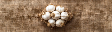A cluster of garlic bulbs arranged neatly on a burlap cloth.の素材