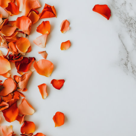 Rose petals scattered on white surfaceの素材