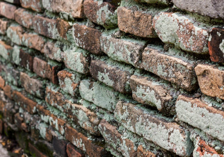 Old brick wall backgroundの写真素材