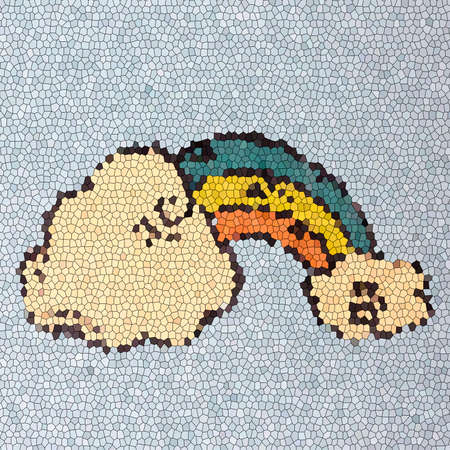 Rainbow mosaicsの写真素材