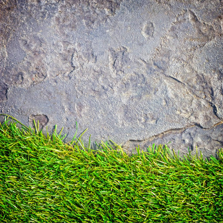 close-up grass and stone texture backgroundの写真素材