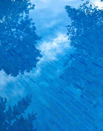 Reflection of trees  in deep blue color swimming pool