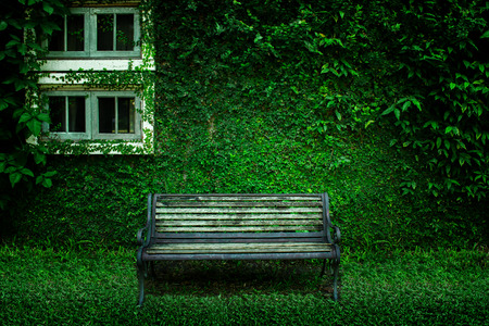 Iron bench with the bush background in garden, wooden chair, garden chair in the gardenの写真素材