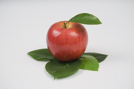 Red apple and leavesの写真素材