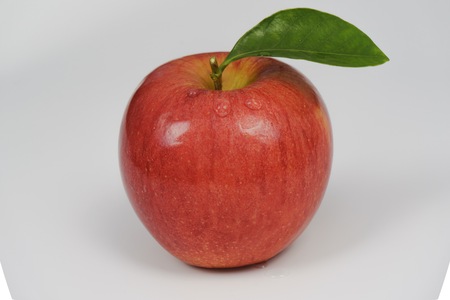 Red appleの写真素材