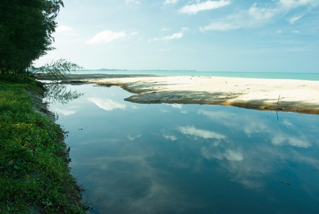 Tropical white sand beach